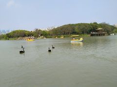 -艾溪湖湿地公园