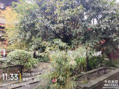 -成都市活水公园