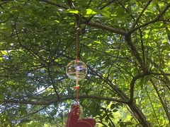 -陆羽泡的茶(集散中心店)