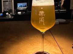 -MEDISN·药厂