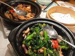 -大榕树下顺德菜(融创茂店)