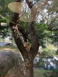 -爱帝宫月子中心(罗湖别墅院)