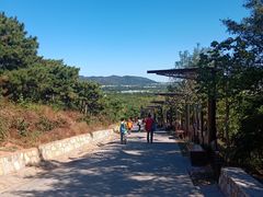 -北京西山国家森林公园