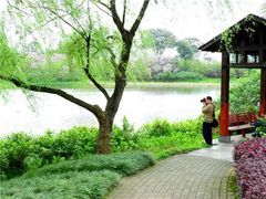 -雀儿山公园
