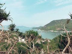 -南丫岛