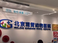 -北京观赏动物医院·24小时大型综合·猫专科·异宠专科