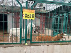 -保定市动物园
