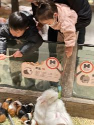 -造物庄园 萌宠纪(苏州湾歌林公园店)