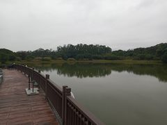 -福建鲤鱼洲酒店