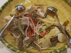 -陶缘一号·四季缘·老字号顺德菜·户外婚礼家宴(西滘店)