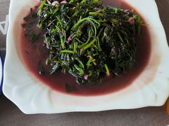 -领鲜土菜馆
