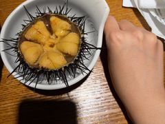 -桂马·日本料理·海胆·海鲜饭·酒场(民主广场店)
