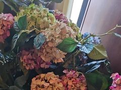 -八府香鸭·啫啫煲(华山路店)