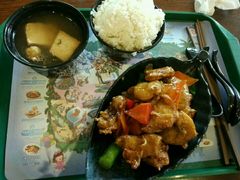 -雨林餐厅(长隆海洋王国店)