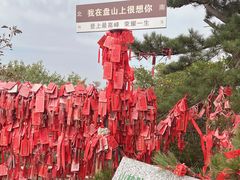 -天津盘山风景名胜区