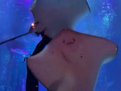 -沈阳海洋探索中心