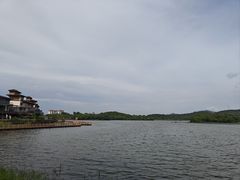 -美的鹭湖森林度假区