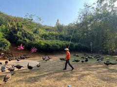 -西双版纳勐泐文化旅游区