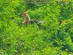 -黔灵山公园
