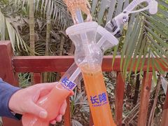 -广州长隆野生动物世界