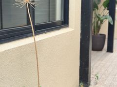 -嘉善老市