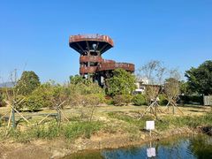 -芒洲湿地公园