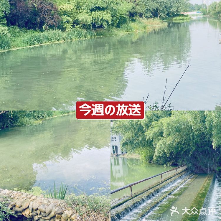 南京佛手湖公园✨～0⃣️元郊野公园