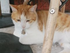 -小时光咖啡馆(北锣鼓巷店)