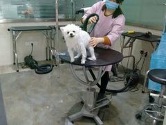 -暖阳宠物医院·犬猫康复中心·骨科