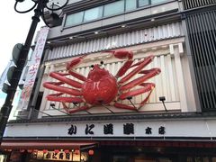 -蟹道乐(道顿堀本店)