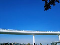 -演武大桥观景平台