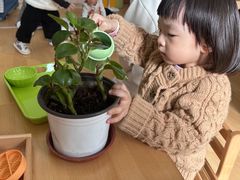 -婴智贝佳蒙特梭利早教托育中心(杨浦店)