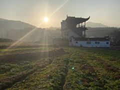 -塔川景区