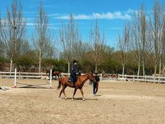 -北京群众马术培训基地