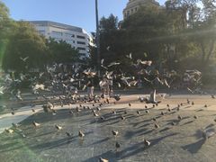 -加泰罗尼亚广场