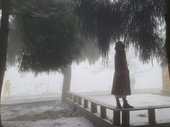 -武陵山森林公园