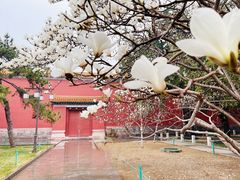 -北京市劳动人民文化宫(太庙)