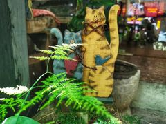 -No Cat 手碟