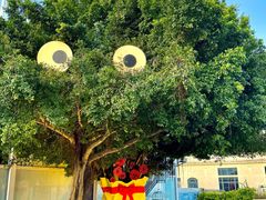 -巨鹏飞梦幻海岸