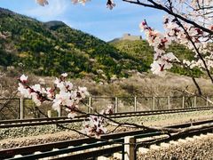 -居庸关长城