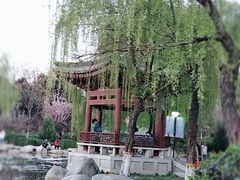 -西安青龙寺遗址景区