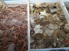 -77号渔船·蒸海鲜青岛菜(积米崖店)