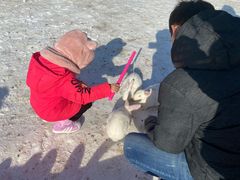 -绿野森林乐园冰雪季