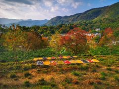 -塔川景区