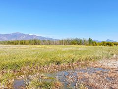 -野鸭湖国家湿地公园