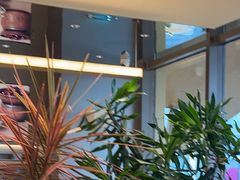 -Bco豆库(星耀天地店)