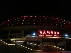 -灵玲国际马戏城