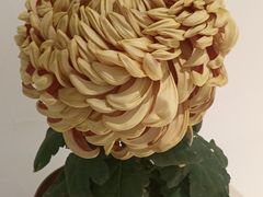 -汇龙潭
