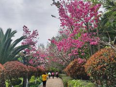 -洛龙公园