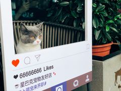 -星巴克(珠海仁恒滨海中心店)